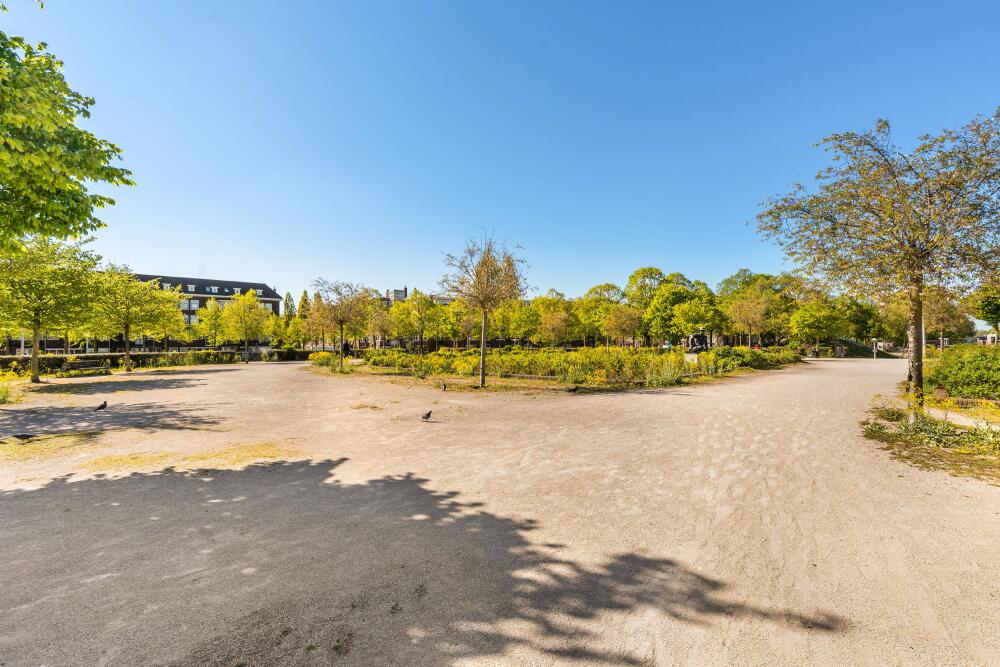 Foto 61 1000w