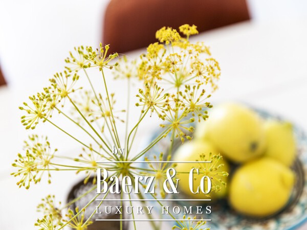 photo 7 Rambla del Agua 1