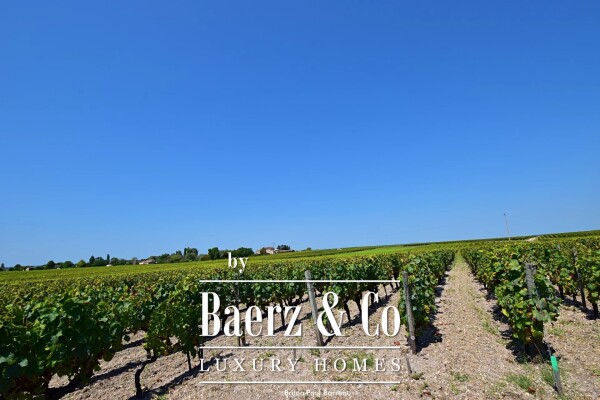 photo 13 WINE CHATEAU, BORDEAUX, SAUTERNES, UNIQUE PANORAMIC VIEW