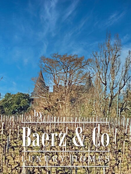 photo 33 WINE CHATEAU, BORDEAUX, SAUTERNES, UNIQUE PANORAMIC VIEW