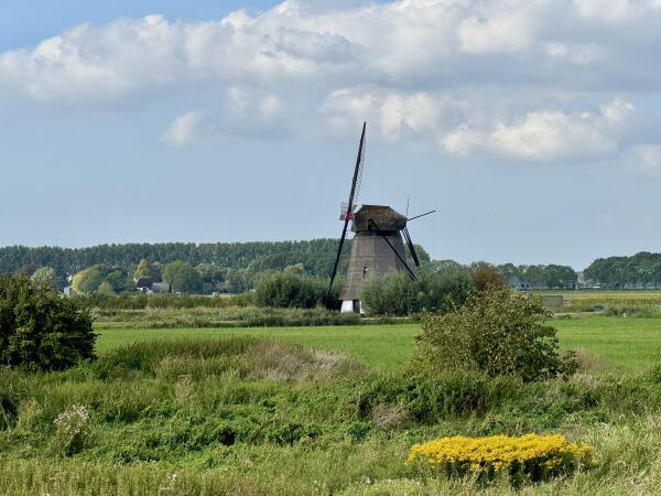 photo 73 Kruisstraat 17