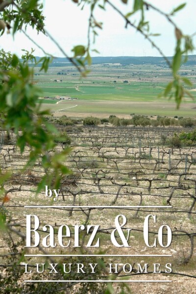 photo 34 Beautiful luxury home in Yecla