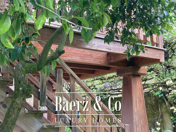 photo 28 Wonderful farm near the Vouga River