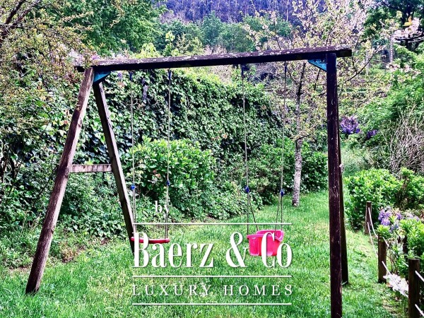 photo 33 Wonderful farm near the Vouga River