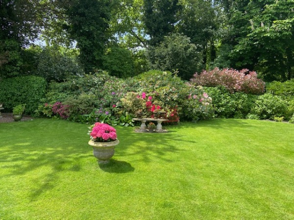 photo 13 Oranjelaan 41