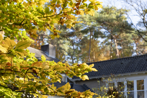 photo 37 Hondsbergselaan 3