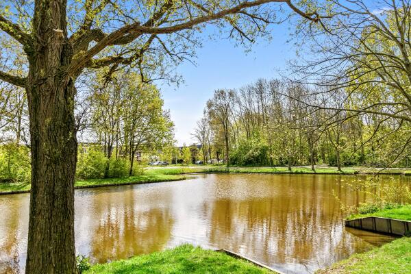 photo 49 Nederhoflaan 12