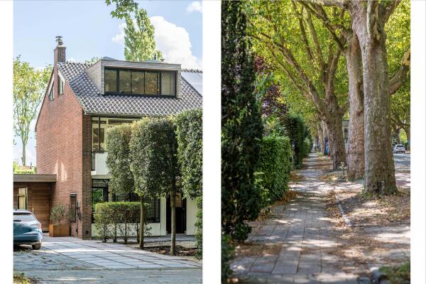 photo 54 Molenlaan 15