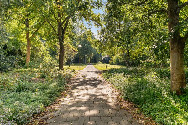 photo 32 Cannenburg 3