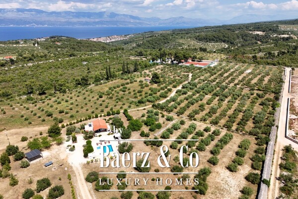 photo 3 Sutivan, a unique Mediterranean estate with a villa, swimming pool, and expansive olive grove