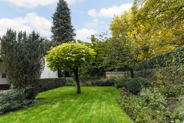 photo 64 van Brederodelaan 5