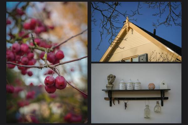 photo 73 Korfgraaf 24