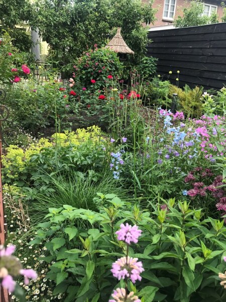 photo 69 Kerkewijk 106