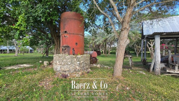 photo 29 Tablaje 3710 Rancho San Roman y Tablaje 1939 Rancho San Jose 