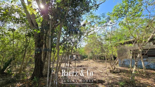 photo 26 Sagrado - Valladolid 