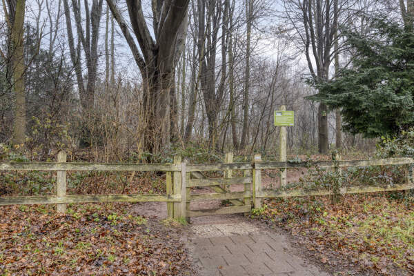 photo 62 Hoge Haerlaan 29