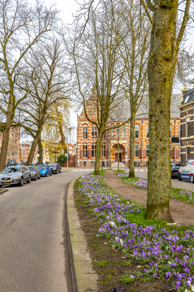 photo 64 Praediniussingel 20 24