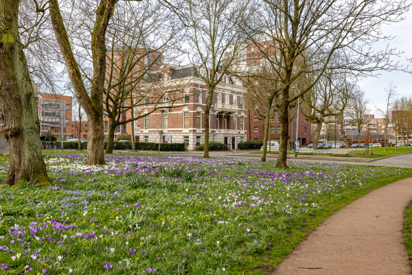 photo 65 Praediniussingel 20 24