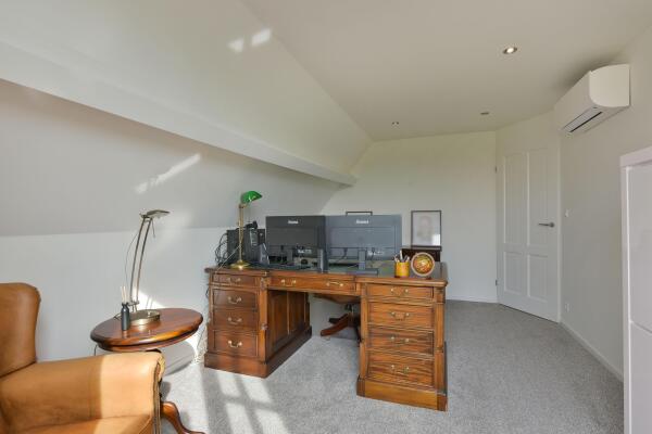 photo 24 Timotheegras 13