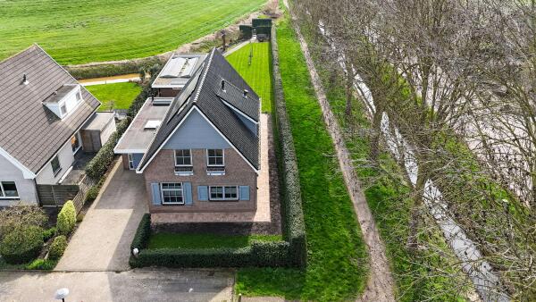 photo 49 Timotheegras 13