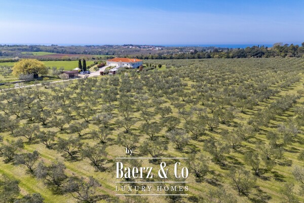 photo 8 Exclusive 12-Ha Olive Estate with Sea Views and Premium Golf Lifestyle in Savudrija, Istria