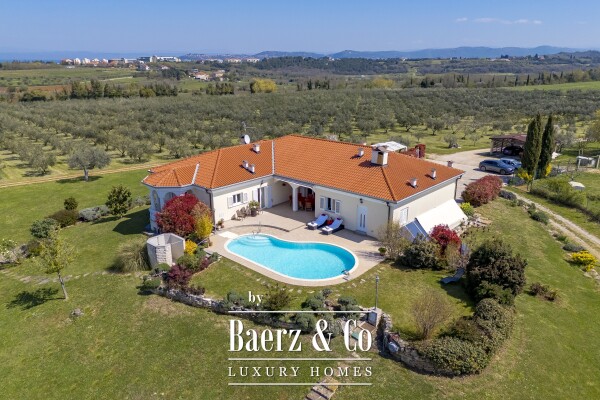 photo 11 Exclusive 12-Ha Olive Estate with Sea Views and Premium Golf Lifestyle in Savudrija, Istria