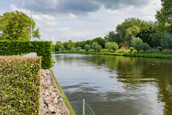 photo 81 Roerdomperf 10