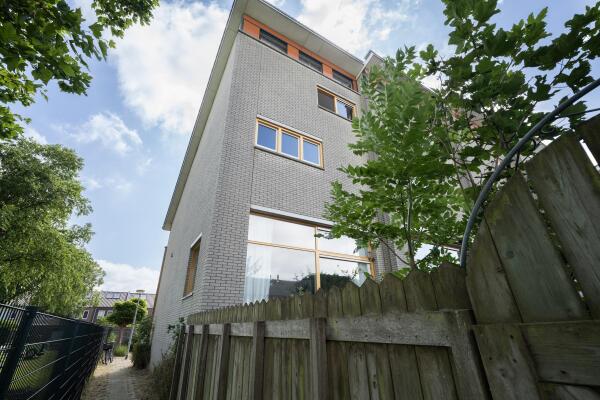 photo 2 Goudpluvier 39