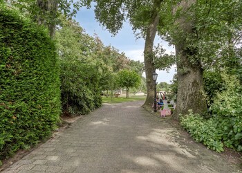 Rhenen